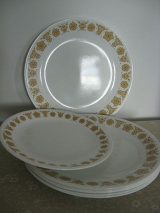 Corelle Butterfly Gold 6 Dinner Plates 10 1/4 & One Luncheon 8 1/2 "