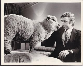 Gene Wilder Everything You Always Wanted To Know About Sex 72 Movie Photo 34718