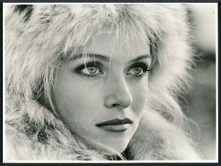1980s Photo Donna Dixon Beauty Queen Actress Bosom Buddies Dr.  Detroit