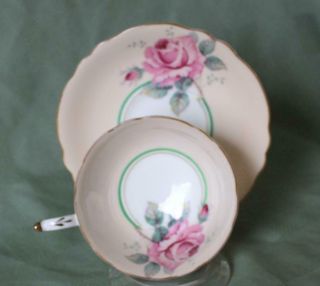 Paragon Large Cabbage Rose In Bowl & Saucer Cup,  Peach Background