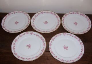 5 Salad / Lunch Plates 8 - 3/8 " - Pink Rose Ch Field Haviland Gda France Limoges