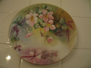 Vintage Jp Limoges France Hand Painted Decorator Plate With Wild Roses