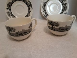 Wedgwood 2 Kruger National Park Cups and Saucers 3
