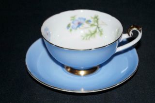 Shelley Pale Blue Floral Tea Cup And Saucer 0454 Large Mouth
