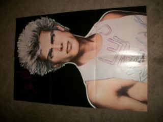 Orig.  Billy Idol In Store Promo Poster - 22 X 33 Never Displayed Chrysalis