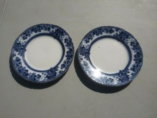 2 Flow Blue 9 " Plates W.  Adams & Co.  Tunstall England.
