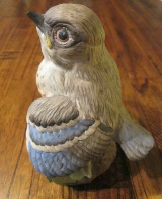 Vintage Boehm Porcelain “FLEDGLING BLUEBIRD 