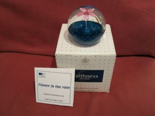 Stunning Boxed Retired Ltd Edt Caithness Glass Paperweight Flower In The Rain