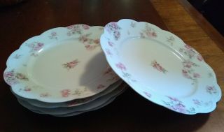 Five Haviland Limoges Schleiger 39f Pink Drop Roses Lunch Plates