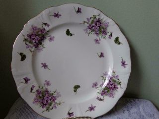Hammersley Bone China Victorian Violets Lyre Emboss 10 - 3/4 " Dinner Plate D