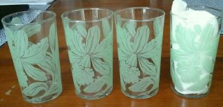 Set Of 4 Vintage 50s Drinking Glasses Tumblers Green Orchid Flowers