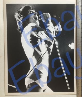 Queen,  Freddie Mercury,  Promo Press Photo