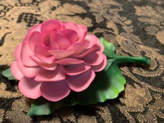 Capodimonte Fabar Pink Tea Rose Flower - Made in Italy - 4