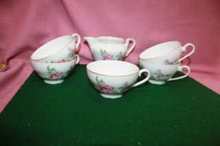 5 Fine Bohemian China Decorative Floral Coffee Cups And 1 Creaner,