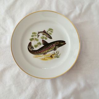 Vintage Naaman Israel Porcelain 9.  5 " Fish Dinner Plate 1950s Naa11 Gold Rim 3