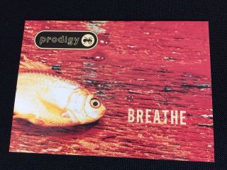 The Prodigy 1997 ' Fat of the Land ' Hologram Sticker Postcard Print XL Recordings 4