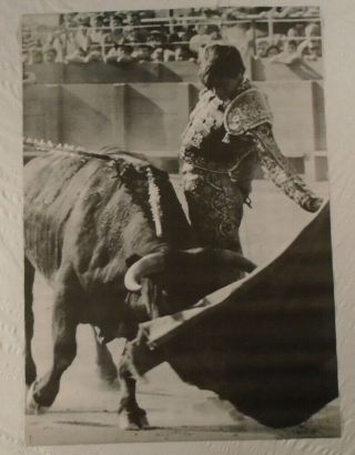El Cordobes Bullfighter 1967 Personality Poster York City