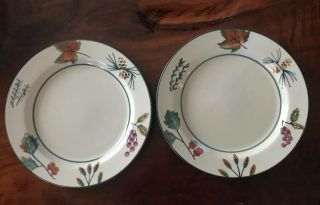 2 Hartstone Pottery 11 1/4” Dinner Plates Forest Hand Painted Made In Usa