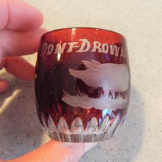 Dont Drown The Hog Etched Ruby Flash Shot Glass Circa 1915