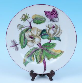Mottahedeh Chelsea Botanical Sir Hans Sloane Porcelain Salad Plate Mma 5