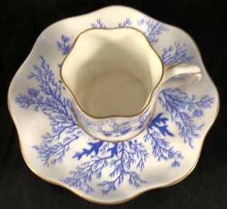 Vtg Coalport Demitasse Cup Mermond & Jaccard Jewelry Co.  White And Blue Ferns 2