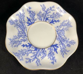 Vtg Coalport Demitasse Cup Mermond & Jaccard Jewelry Co.  White And Blue Ferns 5