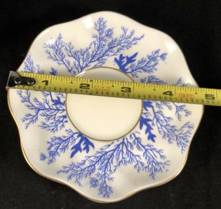 Vtg Coalport Demitasse Cup Mermond & Jaccard Jewelry Co.  White And Blue Ferns 8