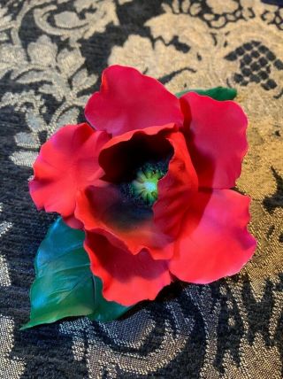 Capodimonte Fabar Red Poppy Flower - Made In Italy -