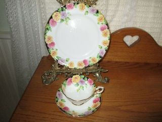 Paragon Mums By Appointment To Her Majesty The Queen Bone Fine China England