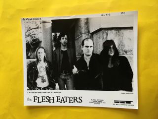 The Flesh Eaters Press Photo 8x10”,  Chris D. ,  Glenn Hays,  Sst Records.