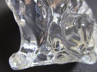 Mosser Collie / Sheltie Clear Glass Dog Figurine Paperweight 7