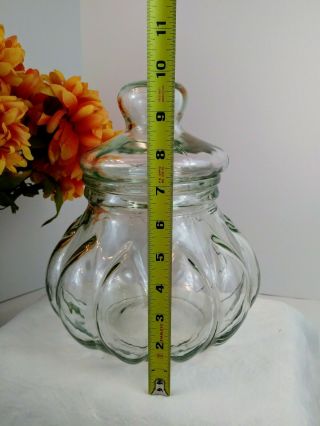 Vintage Glass Apothecary Cookie Jar Canister Large Pumpkin Shaped w/Lid 10.  5 x 9 7