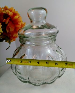 Vintage Glass Apothecary Cookie Jar Canister Large Pumpkin Shaped w/Lid 10.  5 x 9 8