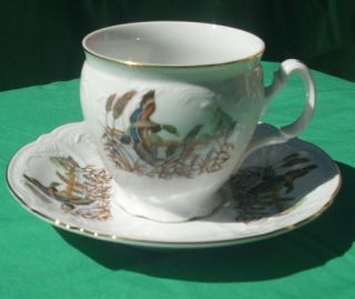 Wildlife Ducks Bernadotte Fine China Tea Cup & Saucer Made In The Czech Republic