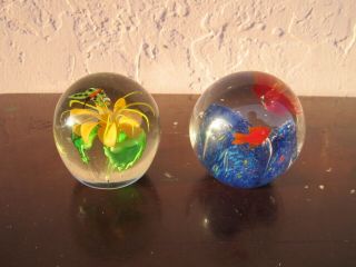 2 Round Flower And Fish Art Glass Paperweight By Owner