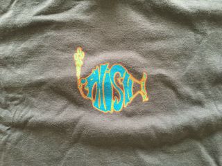 RARE Vintage Phish Summer Tour 2000 Gray Alpine Valley T Shirt XL 3