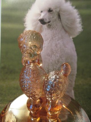 Vintage Depression Amber Glass French Poodle Dog Powder Dish With Lid