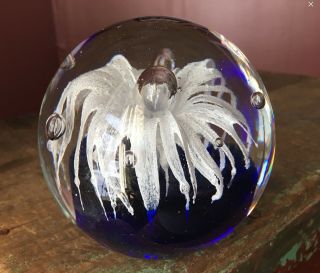 Vintage Art Glass Paperweight - White Flower With Blue Base