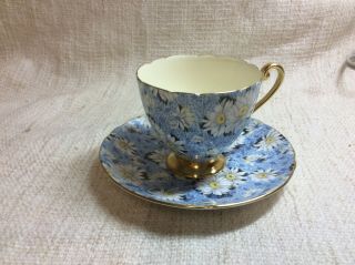 Shelley Blue Daisy Tea Cup Fine Bone China - England,  Gold Trim