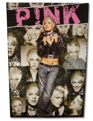 Pink P Nk Scarf Portraits Image Glossy Wall Poster 24x35 Official Merch