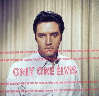 1968 Elvis Presley In The Movies " Live A Little Love A Little " Photo With Beard