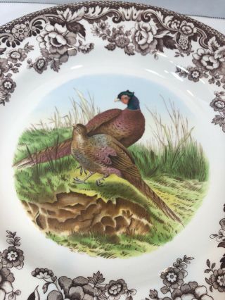 Spode Woodland Pheasant Game Bird Dinner Plate 10 3/4 