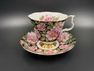 Royal Albert Flora Series Rambler Rose Tea Cup Saucer Set Bone China England