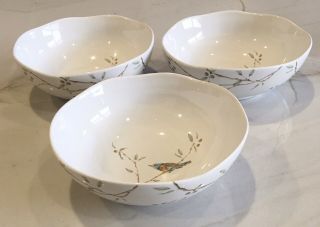 222 Fifth Early Bird Cereal Soup Bowls Set Of 3 Pts International