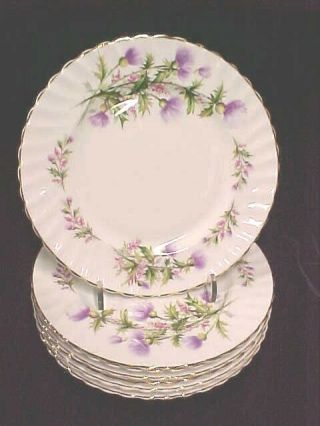 (set Of 8) Queen Anne Lochinvar “scottish Thistle " Salad Plate England Excellnt