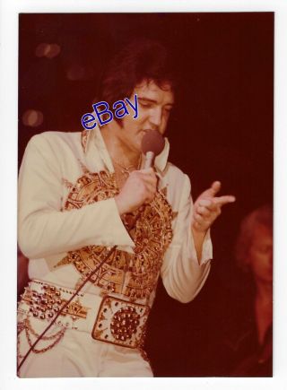 Elvis Presley Concert Photo - Aztec Sundial 1977 - Jim Curtin Vintage