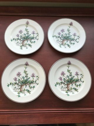 Villeroy & Boch Botanica 8 Inch Salad Plates Set Of Four Plates