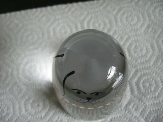 Kosta Sweden Quirky Family Dog Clear Glass Paperweight 1980 3