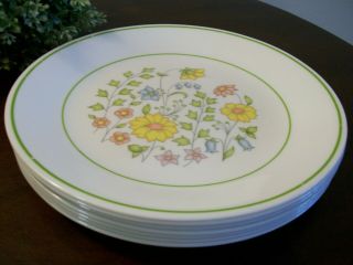 Set Of 7 Corelle Spring Meadow 8 1/2” Luncheon Salad Plates Dishes Corning Usa