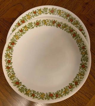 Set 2 Corelle Corning Spice Of Life 10.  25 " Dinner Plate Vintage Discontinued